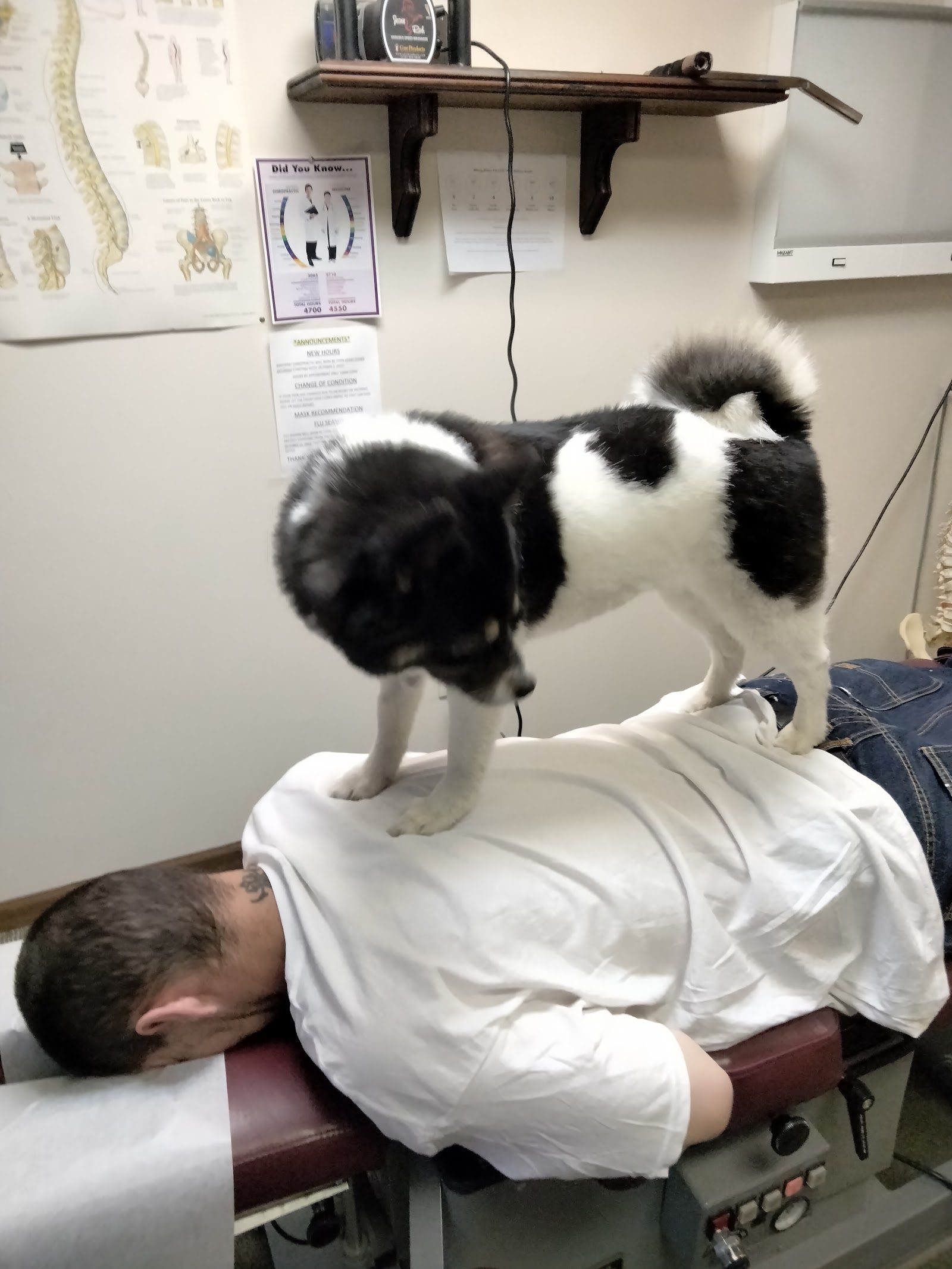 Blendl Chiropractic Life Center in Clinton Township