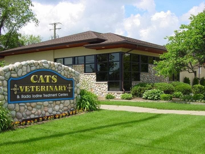 Cats Veterinary — photo