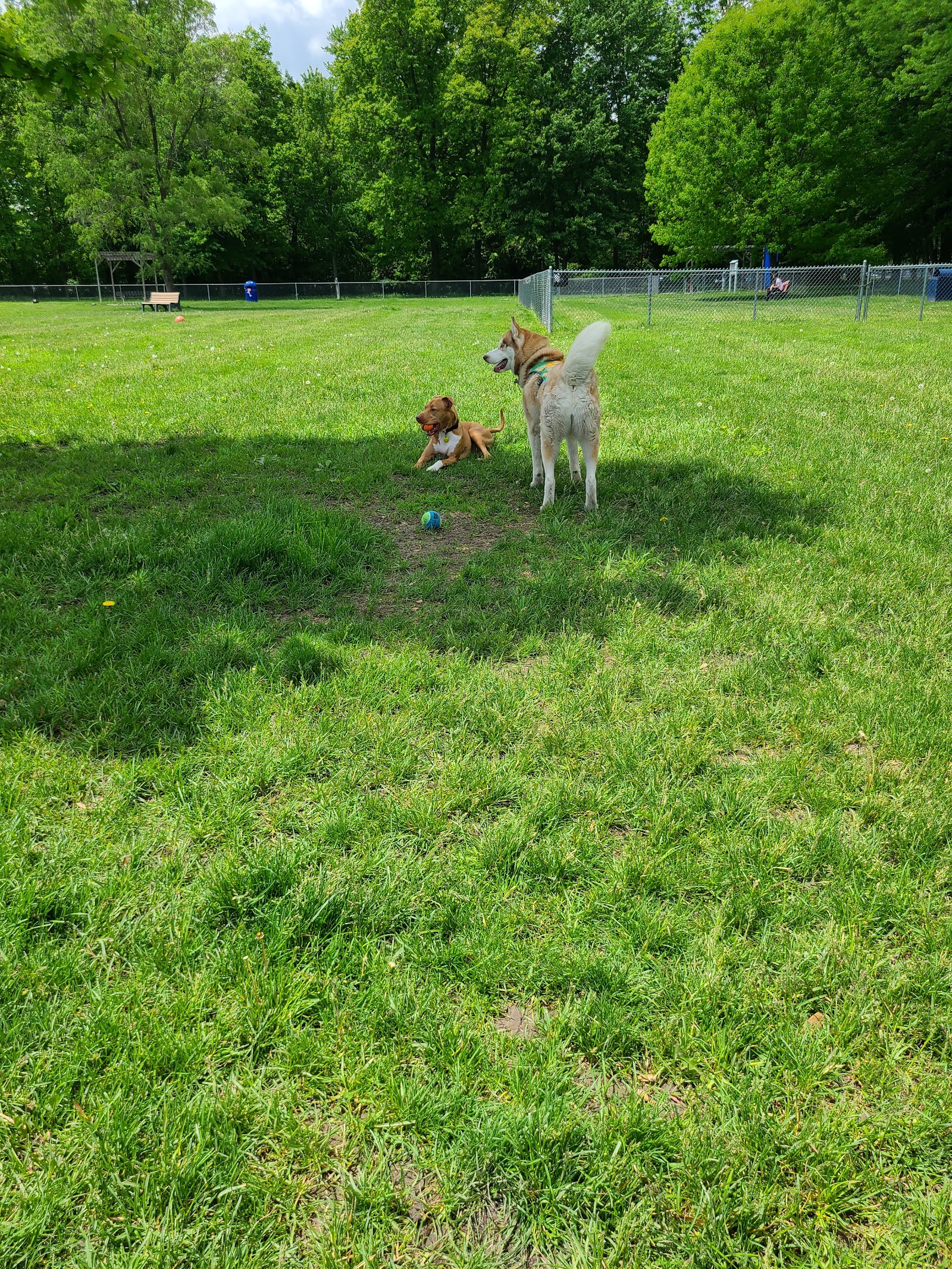 Civic Center Park-Dog Park