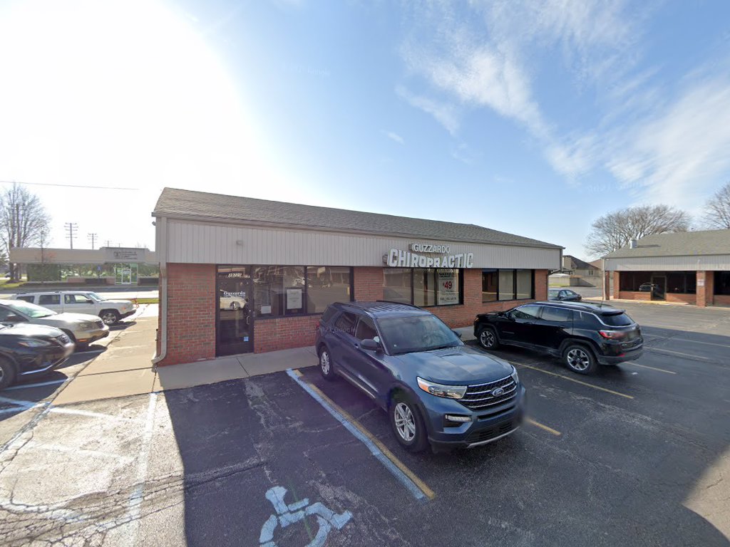 David Guzzardo, D.C. in Clinton Township