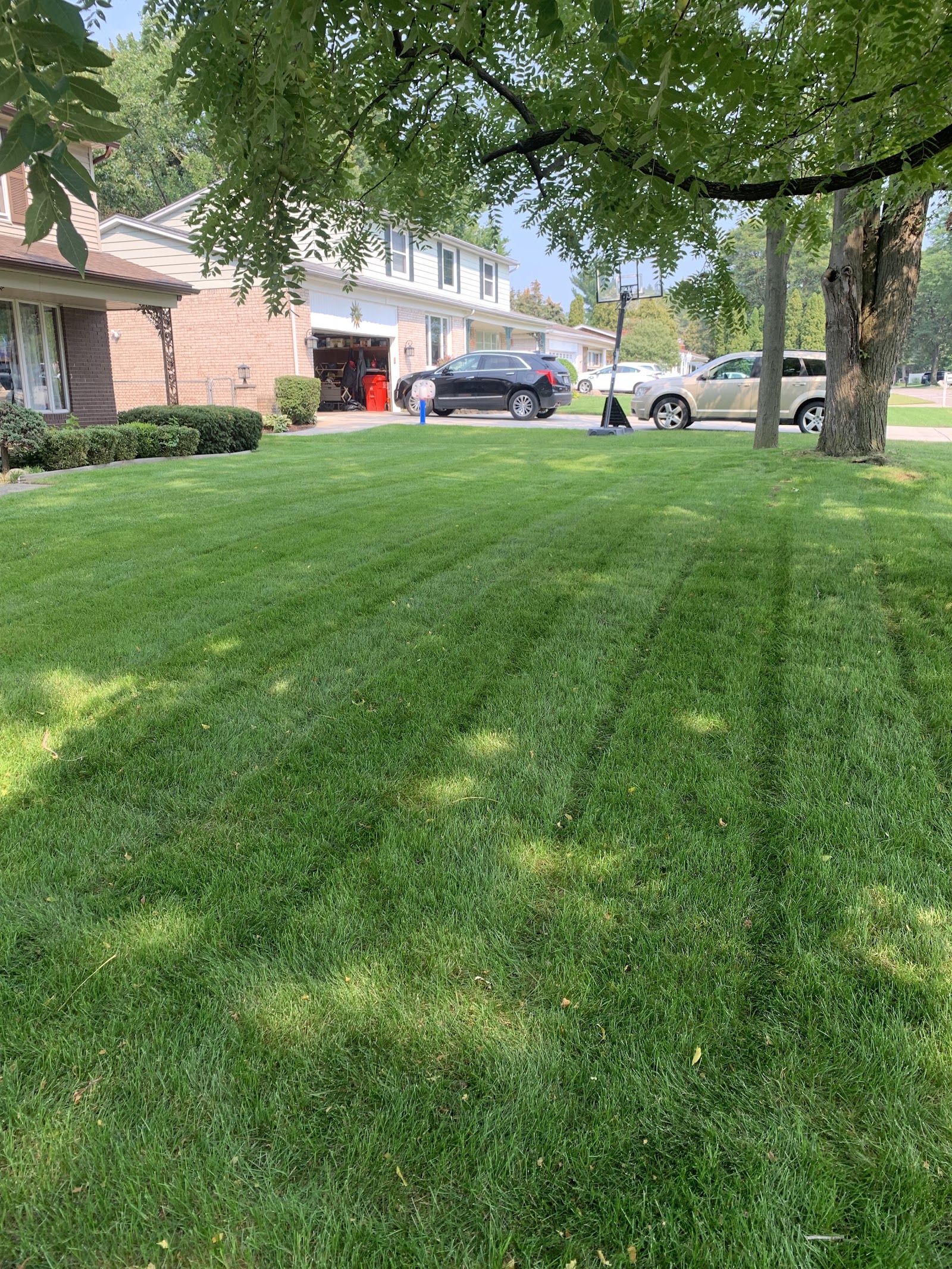 JAYS Julians Affordable Yard Services in