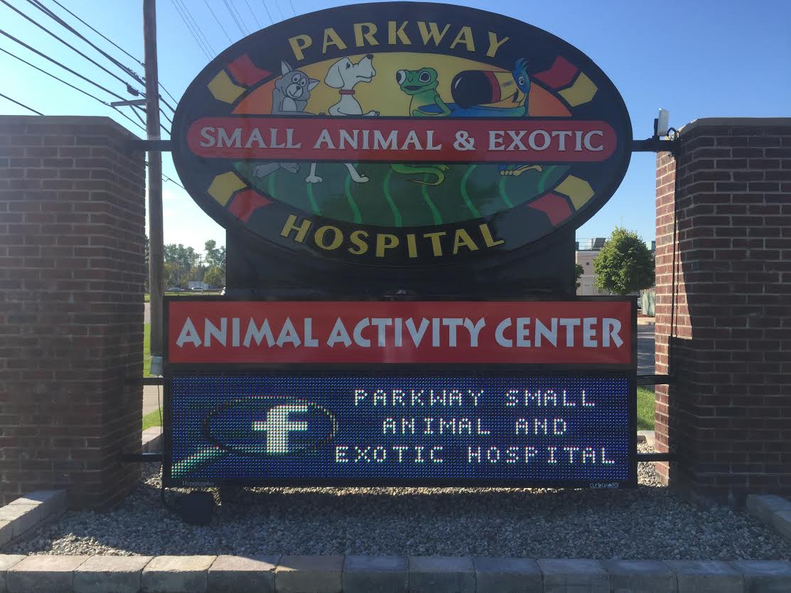 Parkway Small Animal & Exotic Hospital in Clinton Township