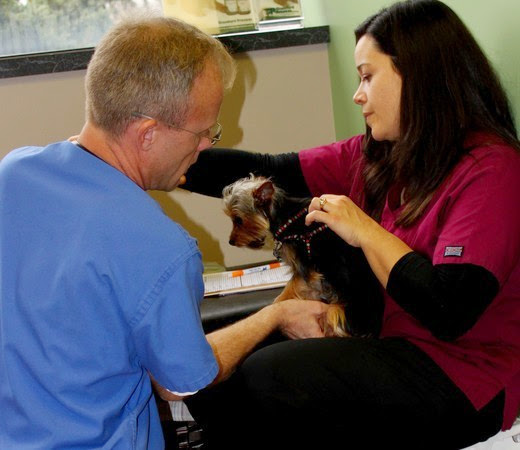 Sheppard Alternative Animal Care — photo
