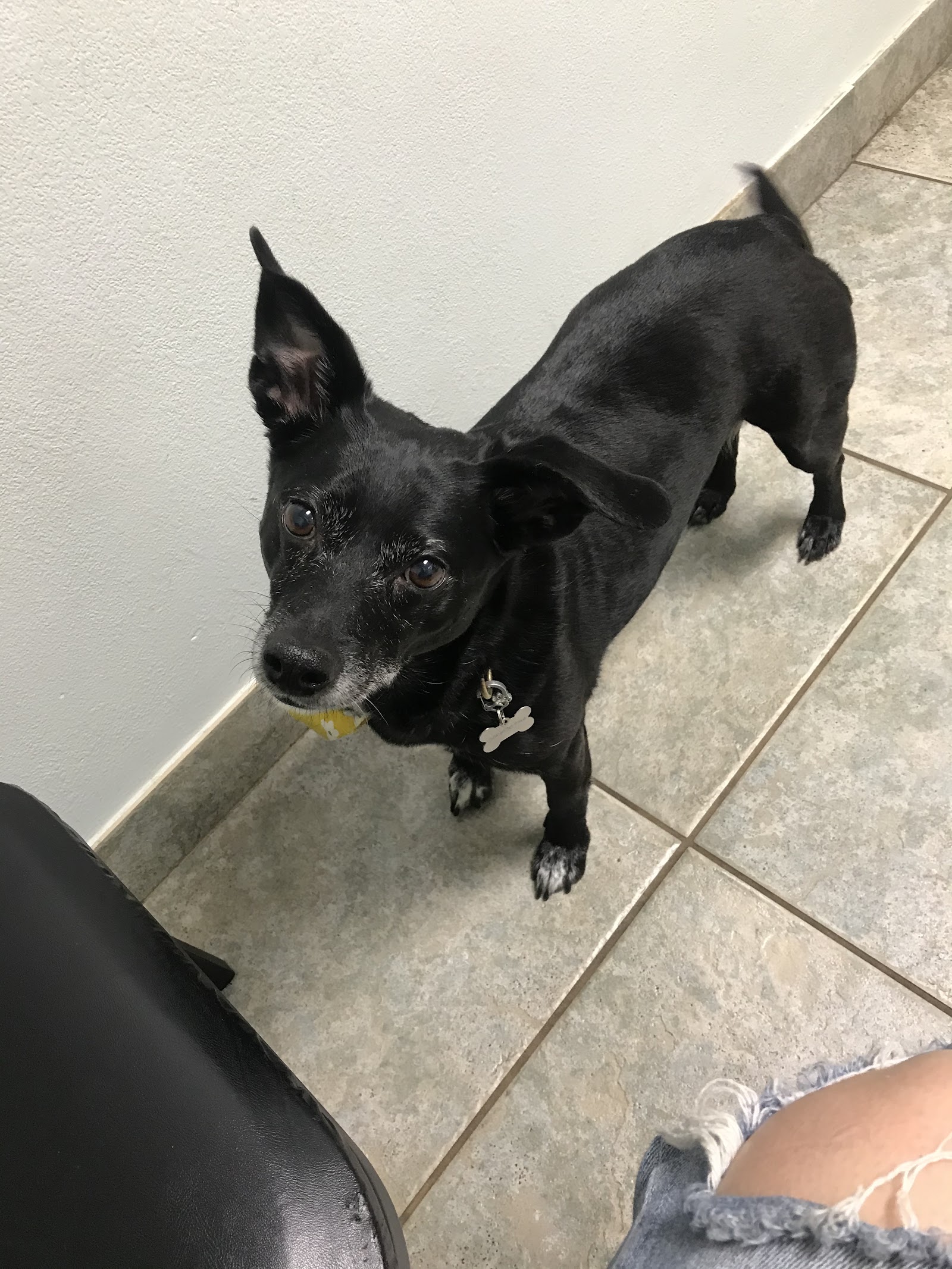 Snider Veterinary Services — photo