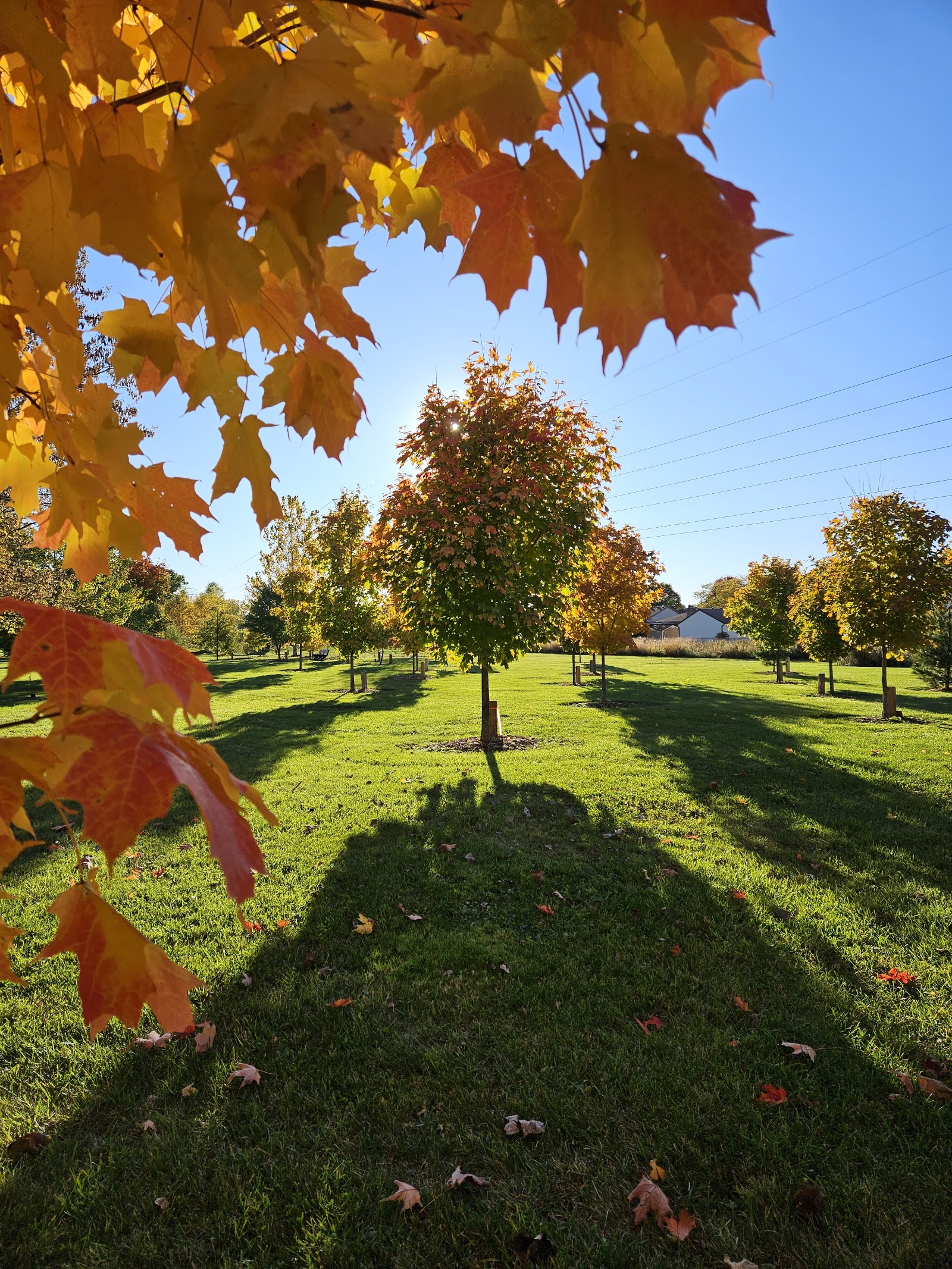 Tomlinson Arboretum - Native Botanical Garden