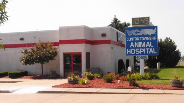 VCA Clinton Township Animal Hospital in Clinton Township